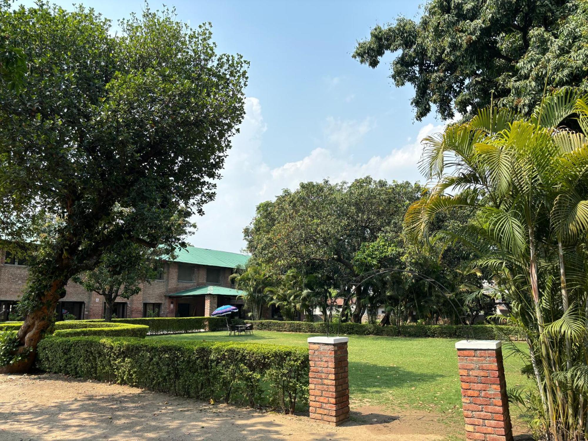 The Cocoon Bed & Breakfast Dehradun Exterior foto
